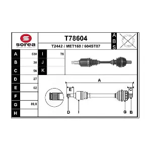 T78604 EAI