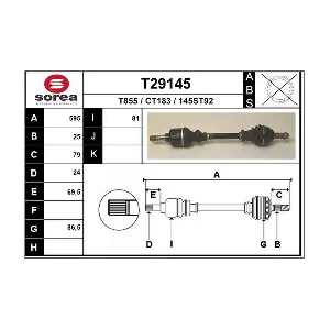 T29145 EAI