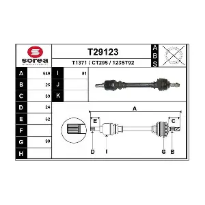 T29123 EAI