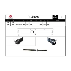 TL10096 EAI