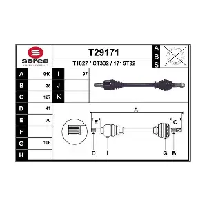 T29171 EAI