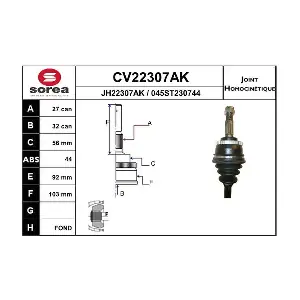 CV22307AK EAI