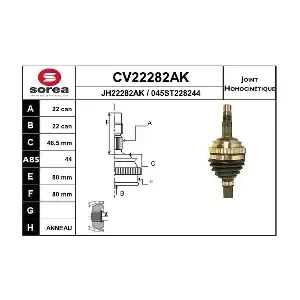 CV22282AK EAI
