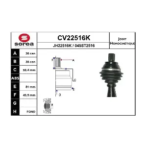 CV22516K EAI