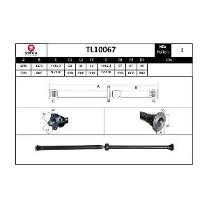 TL10067 EAI