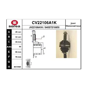 CV22106A1K EAI