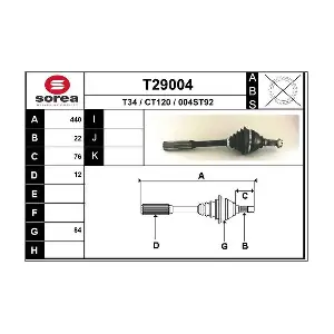 T29004 EAI