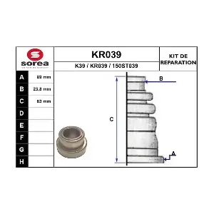 KR039 EAI