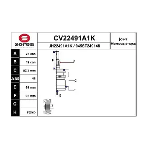 CV22491A1K EAI