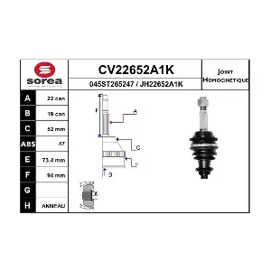 CV22652A1K EAI