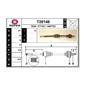 T29146 EAI