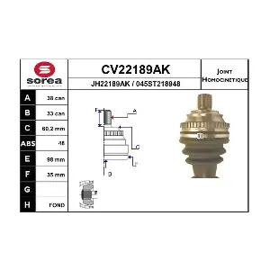 CV22189AK EAI