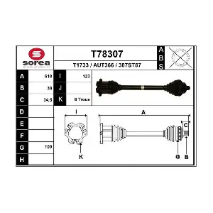 T78307 EAI