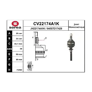 CV22174A1K EAI