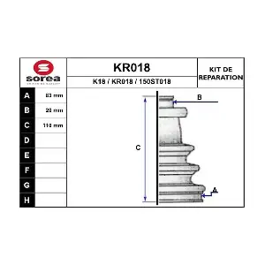 KR018 EAI