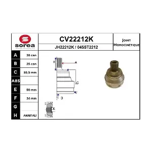 CV22212K EAI