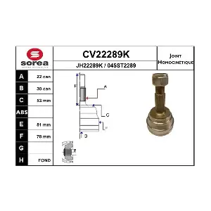 EAI CV22289K