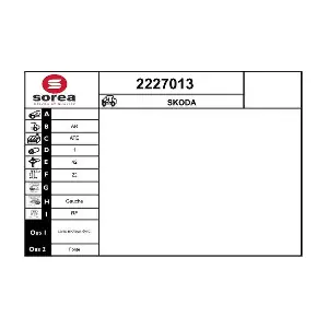 2227013 EAI