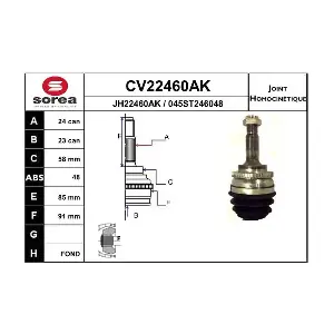 CV22460AK EAI