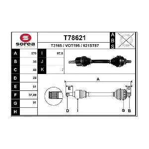 T78621 EAI
