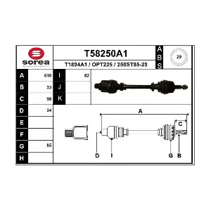 T58250A1 EAI