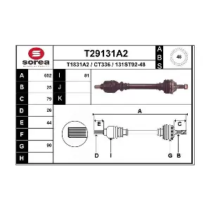 T29131A2 EAI