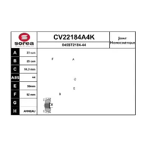 CV22184A4K EAI