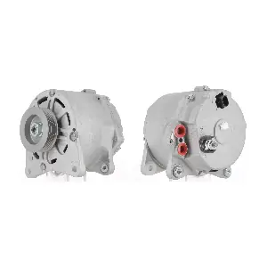 CEVAM 40541