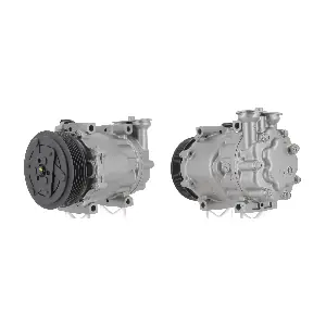 K11435 CEVAM