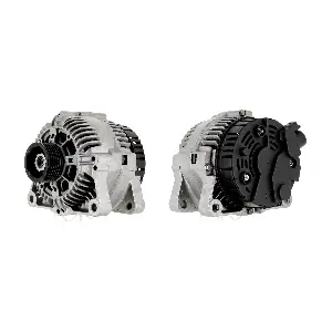 CEVAM 40072