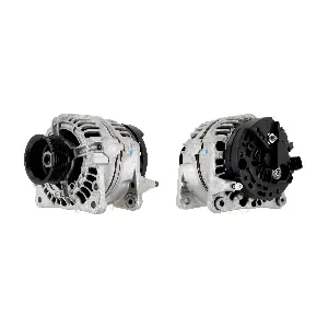 CEVAM 40031