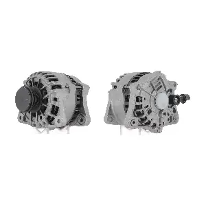 CEVAM 40561