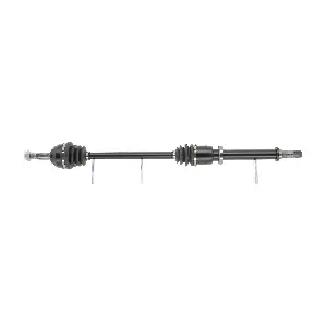 CEVAM 5530