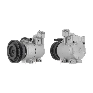 K19047 CEVAM