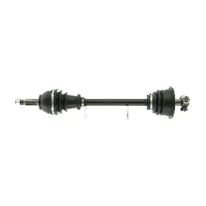 R197L CEVAM