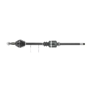 CEVAM 5491