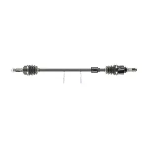 CEVAM 5935