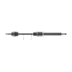CEVAM 5275
