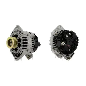 CEVAM 4424