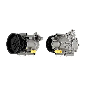 K11396 CEVAM