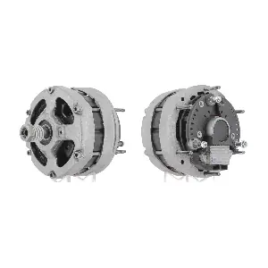 CEVAM 40581