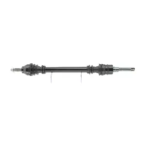 CEVAM 5156