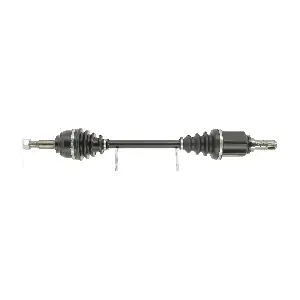 CEVAM 50169