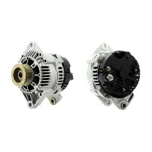 CEVAM 4946