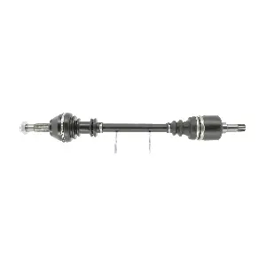 CEVAM 5482