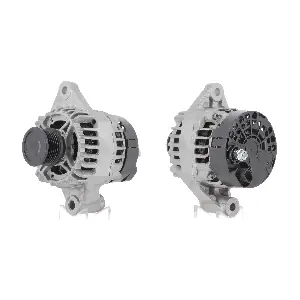 CEVAM 40313