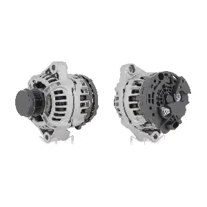 CEVAM 40482