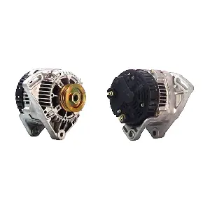 CEVAM 4539