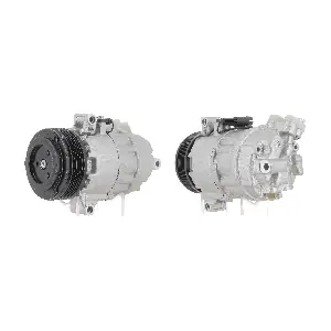 K19059 CEVAM