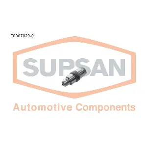 SUPSAN Automotive Co F0007029-01